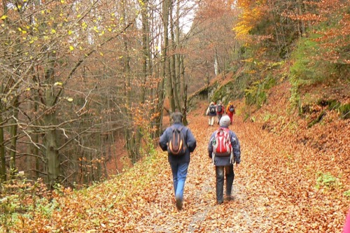 24.10.2010 Tajov – Suchý vrch – Fončorda – foto 5