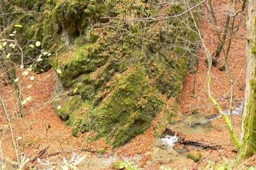 24.10.2010 Tajov – Suchý vrch – Fončorda – foto 6