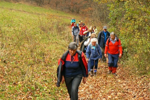 24.10.2010 Tajov – Suchý vrch – Fončorda – foto 7