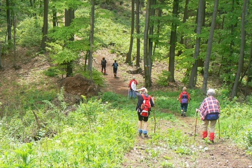 Nedeľa 9.5.2010 Bystrická vrchovina – foto 4