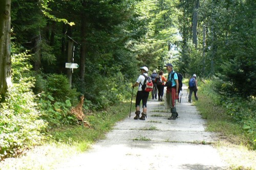 14.8.2011 Veporské vrchy: Strelníky – Osrblie – foto 10