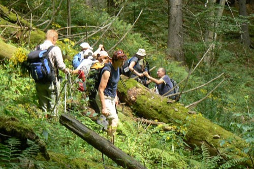 14.8.2011 Veporské vrchy: Strelníky – Osrblie – foto 11