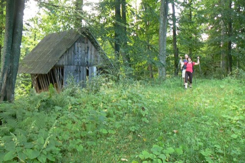 14.8.2011 Veporské vrchy: Strelníky – Osrblie – foto 12