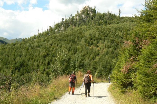 14.8.2011 Veporské vrchy: Strelníky – Osrblie – foto 19