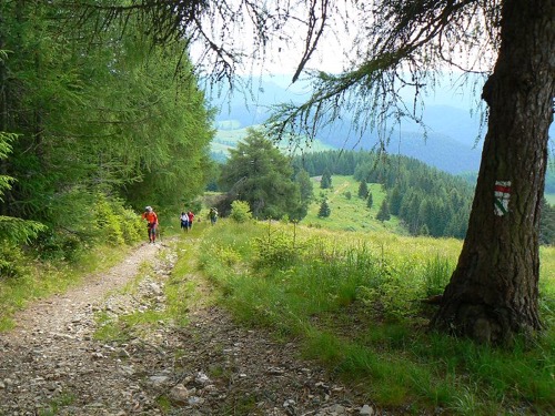 11.6.2011 Vernár – Kráľova hoľa – foto 12