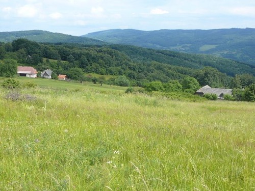 3.7.2011 Javorie – Zvolen-Sekier – Víglašská Huta – foto 4