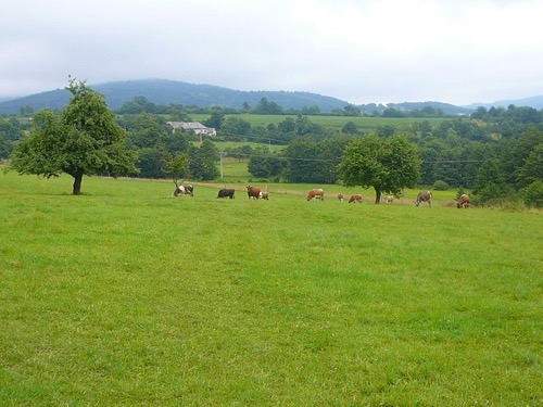 3.7.2011 Javorie – Zvolen-Sekier – Víglašská Huta – foto 7