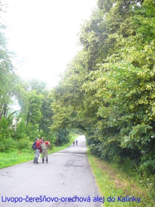 3.7.2011 Javorie – Zvolen-Sekier – Víglašská Huta – foto 9
