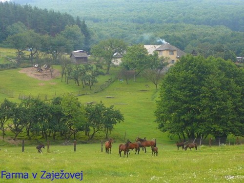 3.7.2011 Javorie – Zvolen-Sekier – Víglašská Huta – foto 11
