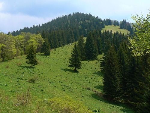21.5.2011 Veľká Fatra – Kľak 1394 m – foto 17