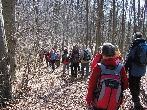 27.3.2011 Kopa – foto 8