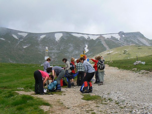 4.6.2011 Rakúsko – Schneeberg – foto 5