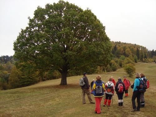 23.10.2011 Tajov – Suchý vrch – B.B. – Fončorda – foto 4