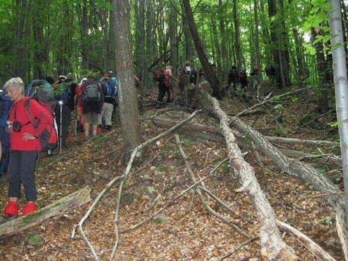 24.9.2011 Kremnické vrchy: Tri kríže 8.Stretnutie turistov – foto 10