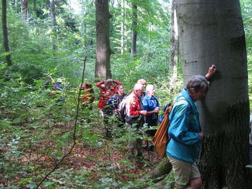 24.9.2011 Kremnické vrchy: Tri kríže 8.Stretnutie turistov – foto 14