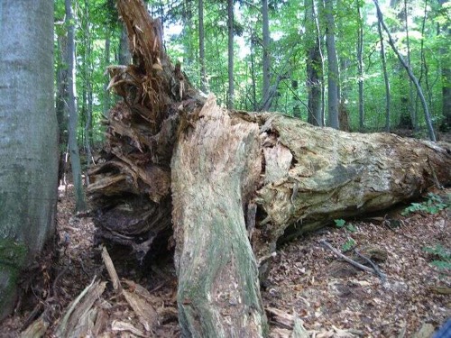 24.9.2011 Kremnické vrchy: Tri kríže 8.Stretnutie turistov – foto 15