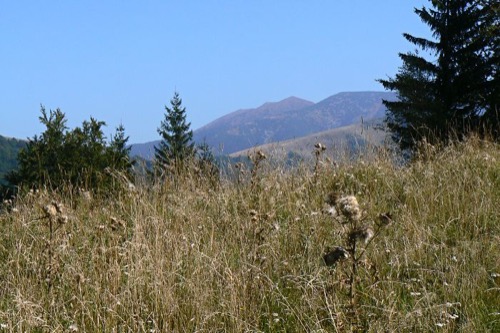 25.9.2011 Starohorské vrchy: Vlačuhovo – foto 4
