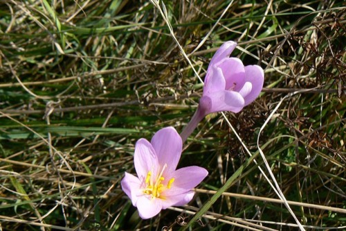25.9.2011 Starohorské vrchy: Vlačuhovo – foto 8
