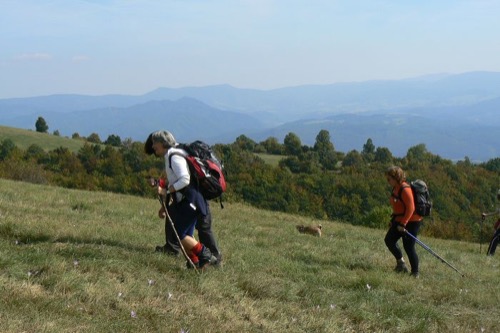 25.9.2011 Starohorské vrchy: Vlačuhovo – foto 15