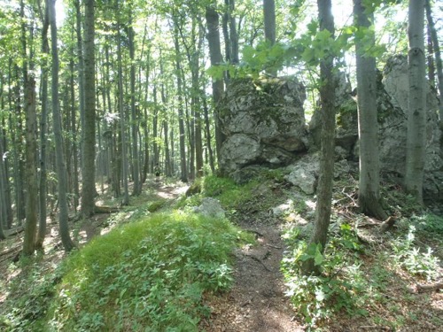 10.7.2011 Veľká Fatra: Horný Jelenec – Zvolen – Donovaly – foto 4