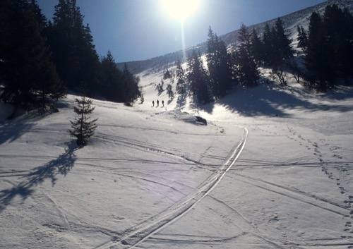 17.3.2012 Trangoška-Ďumbier-Čertovica: pešo + mačky – foto 3