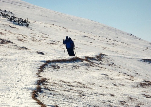 17.3.2012 Trangoška-Ďumbier-Čertovica: pešo + mačky – foto 9