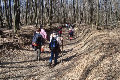 25.3.2012 Bystrická vrchovina: Horná Mičiná – Hronsek – foto 5
