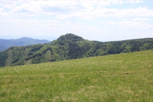 26.5.2012 Veľká Fatra: Krížna – foto 9