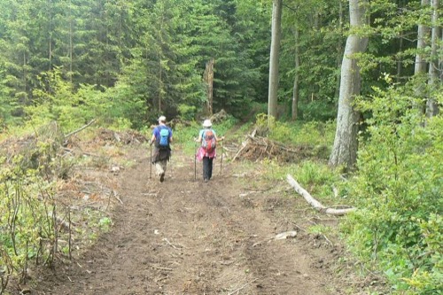 9.6.2012 Martinské hole: Minčol 1364 m – foto 14