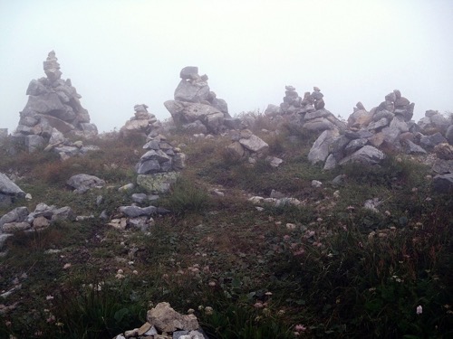 20.7.2013 Červené vrchy – foto 8