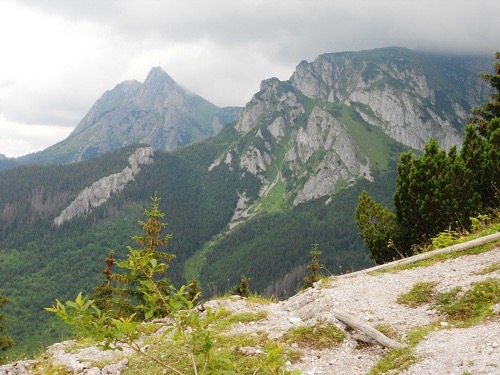 20.7.2013 Červené vrchy – foto 16