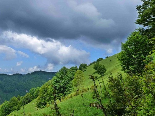 8.6.2013 Veľká Fatra: Japeň – Krížna – foto 4