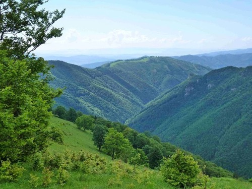 8.6.2013 Veľká Fatra: Japeň – Krížna – foto 6