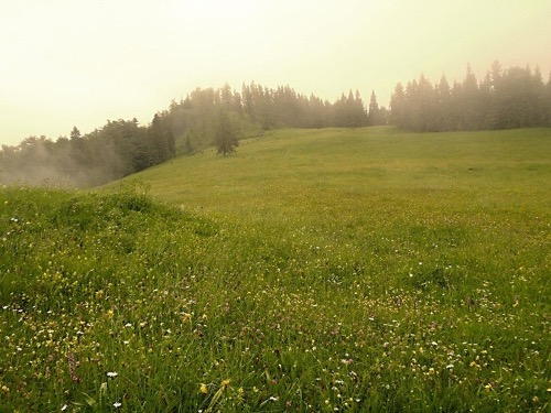 22.-23.6.2013 Muránska planina – foto 19