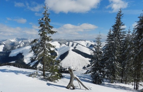 16.3.2013 Vyšná Boca – Rovná hoľa – foto 27