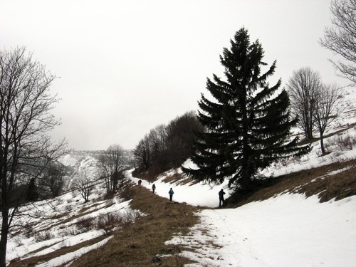 Výstup na Krížnu 31.12.2013 – foto 3