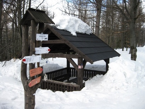 2.3.2013 Kordíky – Skalka – Horné Pršany – foto 14