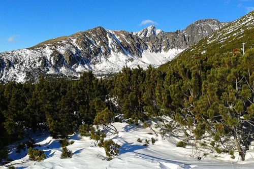 Strbské Pleso 15.12.2013 – foto 5