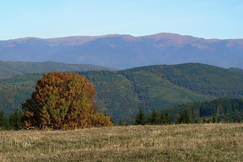Veporské vrchy 5.10.2013: Zákľuky – foto 17