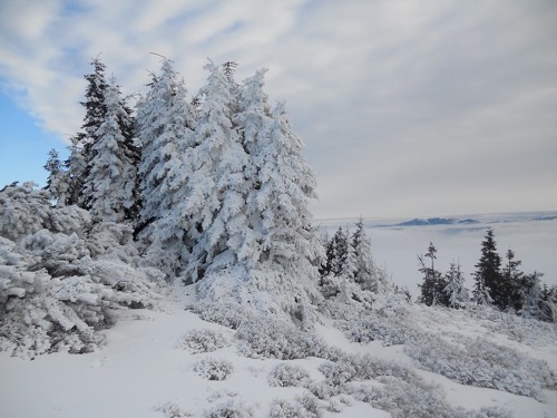 Čertovica – Trangoška 25.1.2014 – foto 3