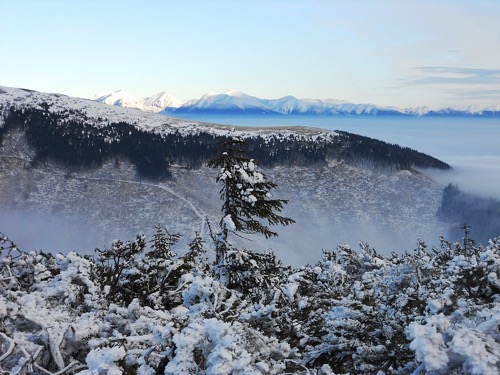 Čertovica – Trangoška 25.1.2014 – foto 4