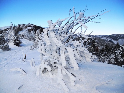 Čertovica – Trangoška 25.1.2014 – foto 6