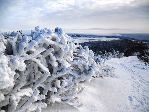Čertovica – Trangoška 25.1.2014 – foto 7