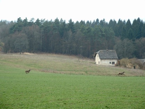 23.3.2014 Horná Mičiná – Hronsek – foto 3