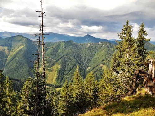 30.8.2014 Nízke Tatry: Poludnica – foto 2