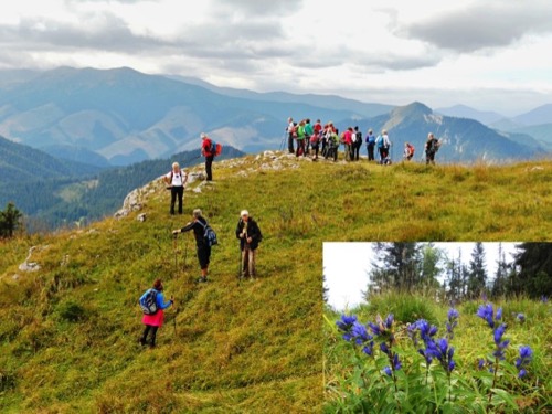 30.8.2014 Nízke Tatry: Poludnica – foto 7