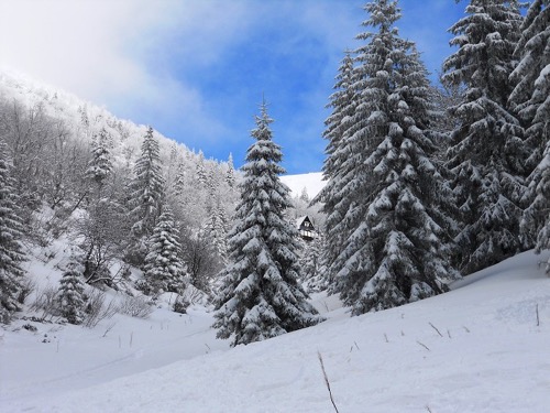 1.3.2014 Naši členovia na školení VHT – zimná časť – foto 14