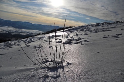 13.12.2014 Štrbské Pleso – Solisko – foto 14