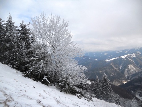 Donovaly – Zvolen – N. Revúca 1.2.2014 – foto 9
