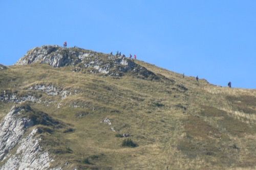 Chleb